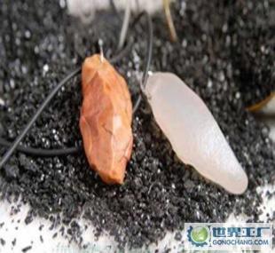 炫要此刻 楼兰漠玉好运石引领时尚新潮流